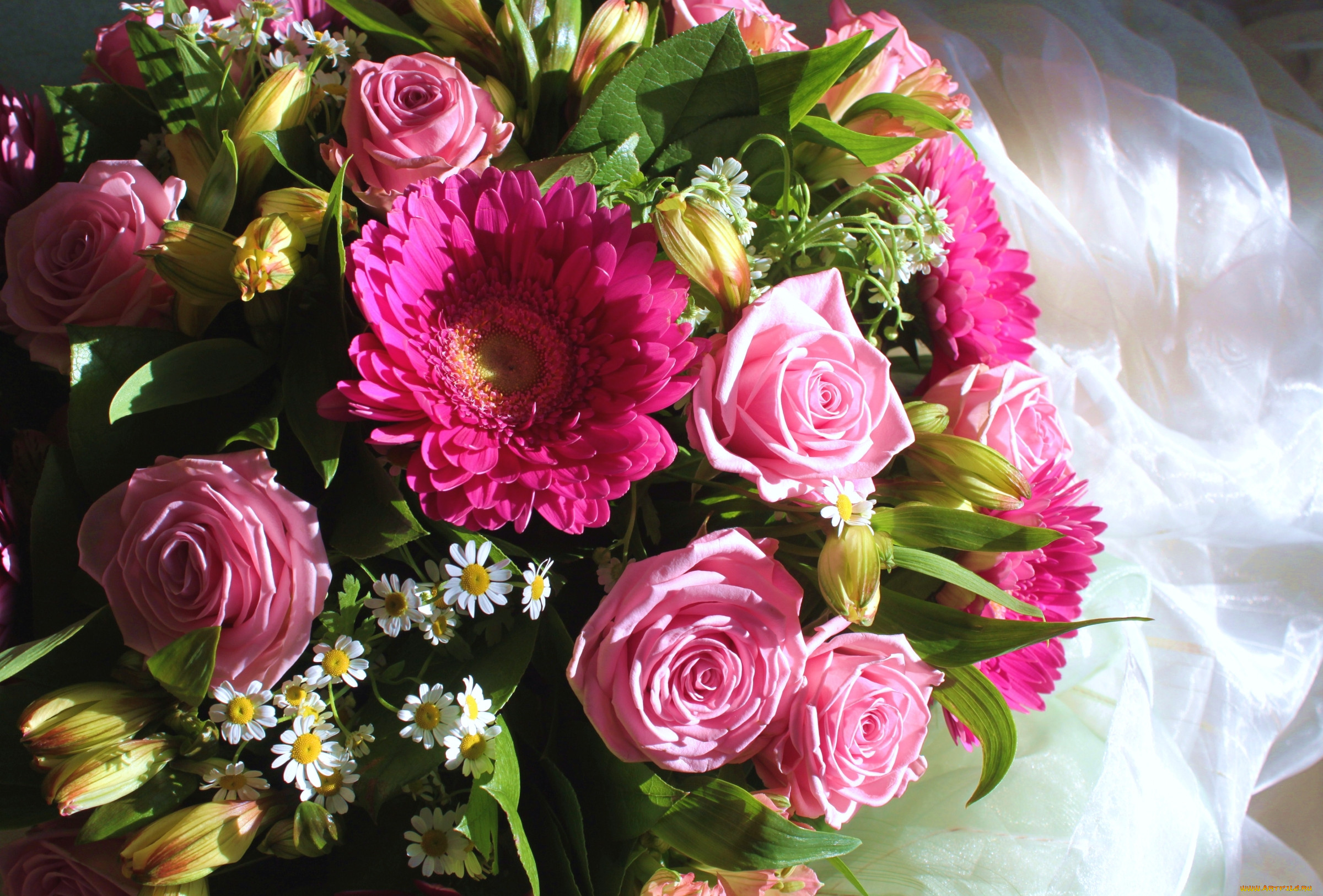 Flower bouquet. Красивый букет. Роскошные цветы. Букет шикарный. Роскошный цвет.